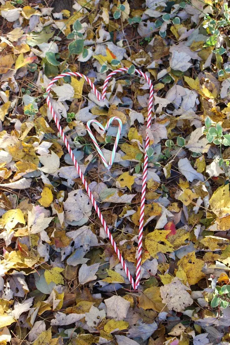 candy cane hunt